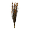 Vickerman H1BFL725 36-40" Aspen Gold Bell Grass With Seed Pods 8-9 Oz Bundle Preserved