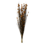 Vickerman H1BFL725 36-40" Aspen Gold Bell Grass With Seed Pods 8-9 Oz Bundle Preserved