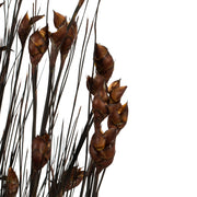 Vickerman H1BFL800 36-40