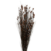 Vickerman H1BFL800 36-40