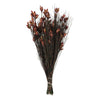 Vickerman H1BFS450 15-20" Merlot Bell Female Short 5-6 Oz Bundle Preserved