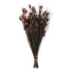Vickerman H1BFS450 15-20" Merlot Bell Female Short 5-6 Oz Bundle Preserved