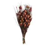Vickerman H1BFS475 15-20" Red Bell Female Short 5-6 Oz Bundle Preserved