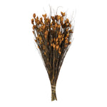 Vickerman H1BFS725 15-20" Aspen Gold Bell Female Short 5-6 Oz Bundle Preserved