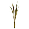 Vickerman H2BNS100-2 36-40" Basil Bahia Spears. Includes 18 Stems (2 - 9 Stem Bunches) Dried