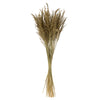 Vickerman H2CGR000 36” Natural Congo Grass 8 Oz Bundle Dried