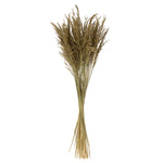 Vickerman H2CGR000 36” Natural Congo Grass 8 Oz Bundle Dried