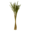 Vickerman H2CGR150 36” Green Congo Grass 8 Oz Bundle Dried