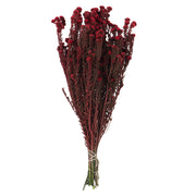 Vickerman H1COT475 16-22