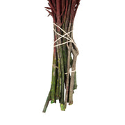 Vickerman H1COT475 16-22