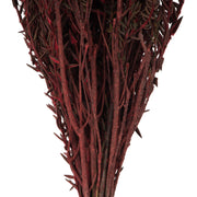 Vickerman H1COT475 16-22