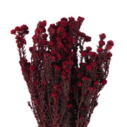 Vickerman H1COT475 16-22