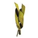 Vickerman H2CPC100-6 16 - 20" Basil Coco Paddle - Curled 6 Piece Bundle Dried