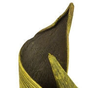 Vickerman H2CPC100-6 16 - 20