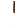 Vickerman H2CRS000-3 42-46” Natural Brown Cierus Stem. Includes 3 Stems Dried