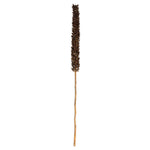 Vickerman H2CRS000-3 42-46” Natural Brown Cierus Stem. Includes 3 Stems Dried