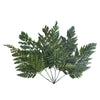 Vickerman H3DVL112 6-10" Fern Green Fern - Davalia 6 Stems Preserved
