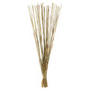 Vickerman H1ELR000 40” Natural Elephant Reed 10 Oz Bundle Dried