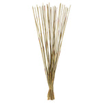 Vickerman H1ELR000 40” Natural Elephant Reed 10 Oz Bundle Dried