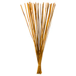 Vickerman H1ELR725 40” Aspen Gold Elephant Reed 10 Oz Bundle Dried
