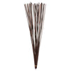 Vickerman H1ELR800 40” Brown Elephant Reed 10 Oz Bundle Dried