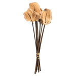 Vickerman H2FRG000 15" Natural Frogs Mouth On Stems 9 Stems Dried