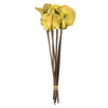 Vickerman H2FRG100 15" Basil Frogs Mouth On Stems 9 Stems Dried