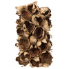 Vickerman H2GPS000 10-12" Natural Giant Seed Pod Segment - Small 1 Piece Dried