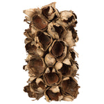 Vickerman H2GPS000 10-12" Natural Giant Seed Pod Segment - Small 1 Piece Dried