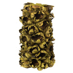 Vickerman H2GPS100 10-12" Basil Giant Seed Pod Segment - Small 1 Peice Dried