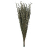 Vickerman H1GRB000 22-26" Natural White Grabia 5-6 Oz Bundle Preserved