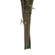 Vickerman H1GRB000 22-26