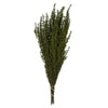 Vickerman H1GRB100 22-26" Basil Grabia 5-6 Oz Bundle Preserved