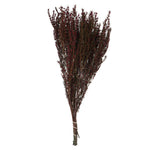 Vickerman H1GRB450 22-26" Merlot Grabia 5-6 Oz Bundle Preserved