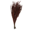 Vickerman H1GRB475 22-26" Red Grabia 5-6 Oz Bundle Preserved