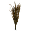 Vickerman H1GRB725 22-26" Aspen Gold Grabia 5-6 Oz Bundle Preserved