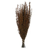 Vickerman H1GRB750 22-26" Autumn Grabia 5-6 Oz Bundle Preserved