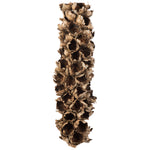 Vickerman H2GSH000 26-28" Natural Giant Seed Pod - Half