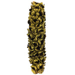 Vickerman H2GSH100 26-28" Basil Giant Seed Pod - Half