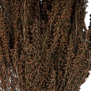 Vickerman H1HTR800 18-20
