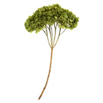 Vickerman H1HYD100 15” Basil Hydrangea With Multiple Branch Segments. Preserved