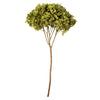 Vickerman H1HYD125 15” Antique Moss Hydrangea With Multiple Branch Segments. Preserved