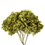 Vickerman H1HYD125 15” Antique Moss Hydrangea With Multiple Branch Segments. Preserved