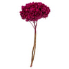 Vickerman H1HYD450 15” Merlot Hydrangea With Multiple Branch Segments. Preserved