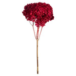 Vickerman H1HYD475 15”  Red Hydrangea With Multiple Branch Segments. Preserved