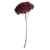 Vickerman H1HYD580 15” Purple Orchid Hydrangea With Multiple Branch Segments. Preserved