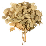 Vickerman H1HYL000 10 X 3 X 21" Tray Natural Hydrangea Pieces. Tray Multi Stem Preserved
