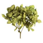 Vickerman H1HYL100 10 X 3 X 21" Tray Basil Hydrangea Pieces. Tray Multi Stem Preserved