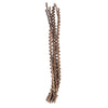 Vickerman H2LAD000 32-36" Ladder Branches Natural. Includes 7 Branches Per Pack Dried