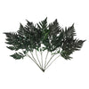 Vickerman H3LLF150 12-15" Fern Green Fern-Leatherleaf 6 Stems Preserved